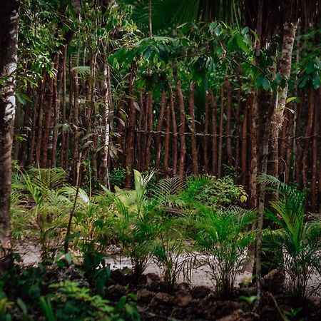 Lunita Jungle Experience Hotel Puerto Morelos Ngoại thất bức ảnh