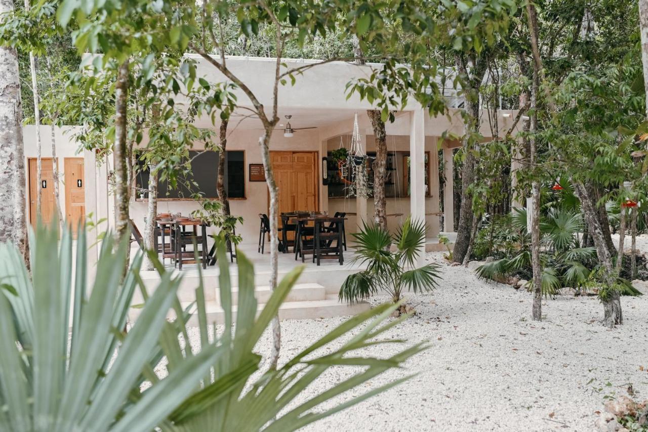 Lunita Jungle Experience Hotel Puerto Morelos Ngoại thất bức ảnh