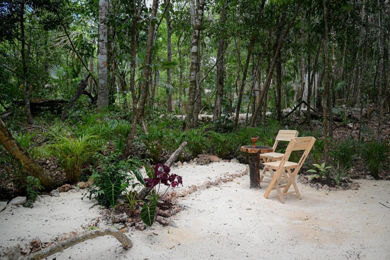 Lunita Jungle Experience Hotel Puerto Morelos Ngoại thất bức ảnh