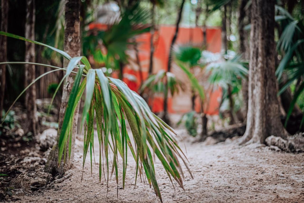 Lunita Jungle Experience Hotel Puerto Morelos Ngoại thất bức ảnh