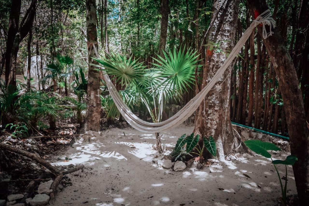 Lunita Jungle Experience Hotel Puerto Morelos Ngoại thất bức ảnh