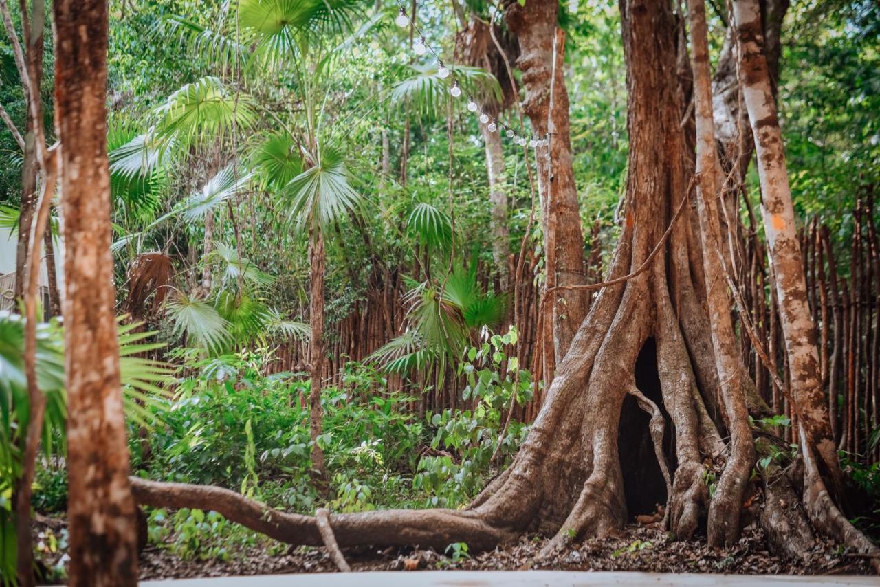 Lunita Jungle Experience Hotel Puerto Morelos Ngoại thất bức ảnh