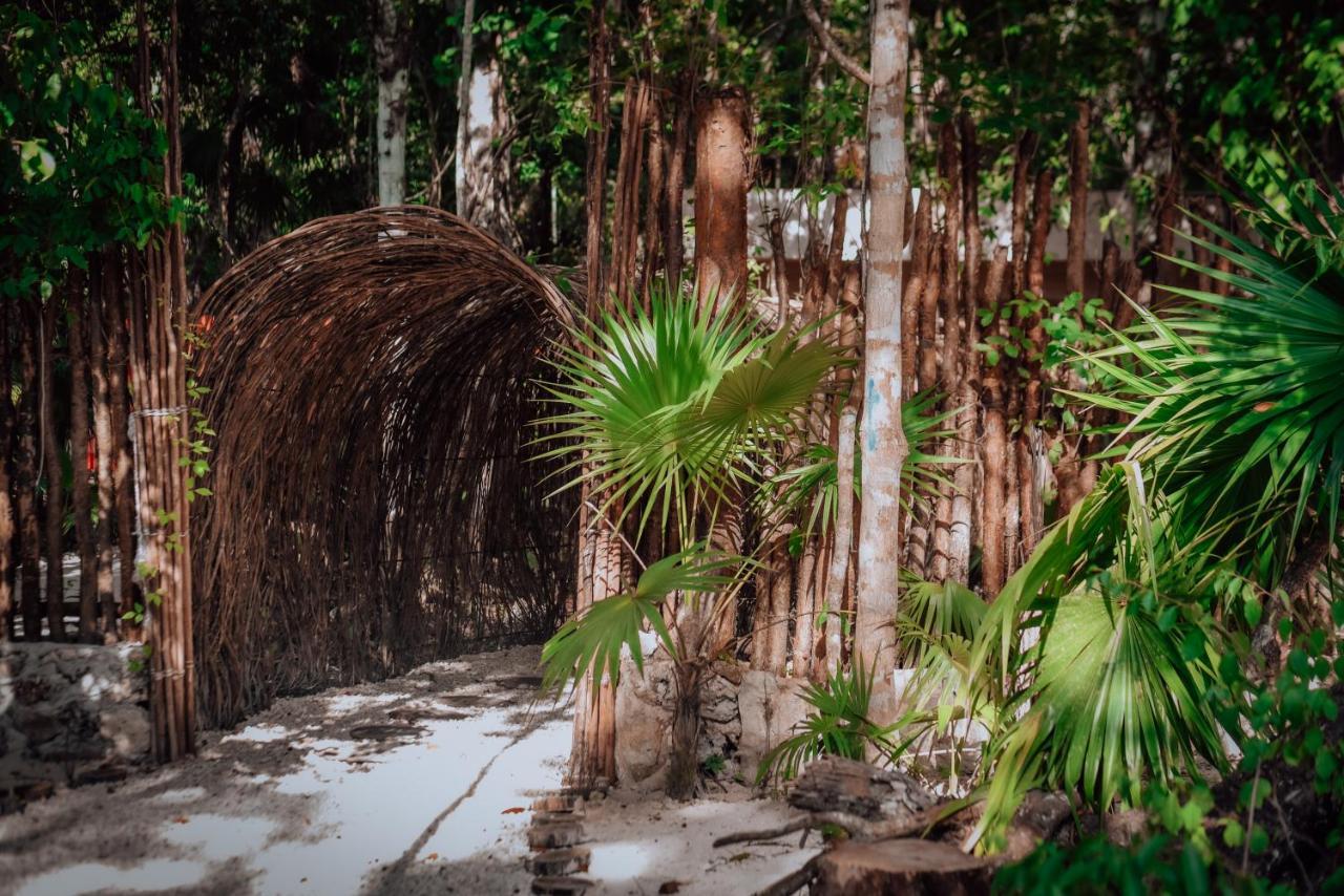 Lunita Jungle Experience Hotel Puerto Morelos Ngoại thất bức ảnh